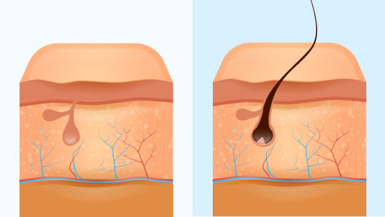 MAGYAR EGÉSZSÉGÜGYI KÖZPONT
